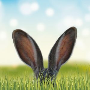 Absage kommender Termine 2021